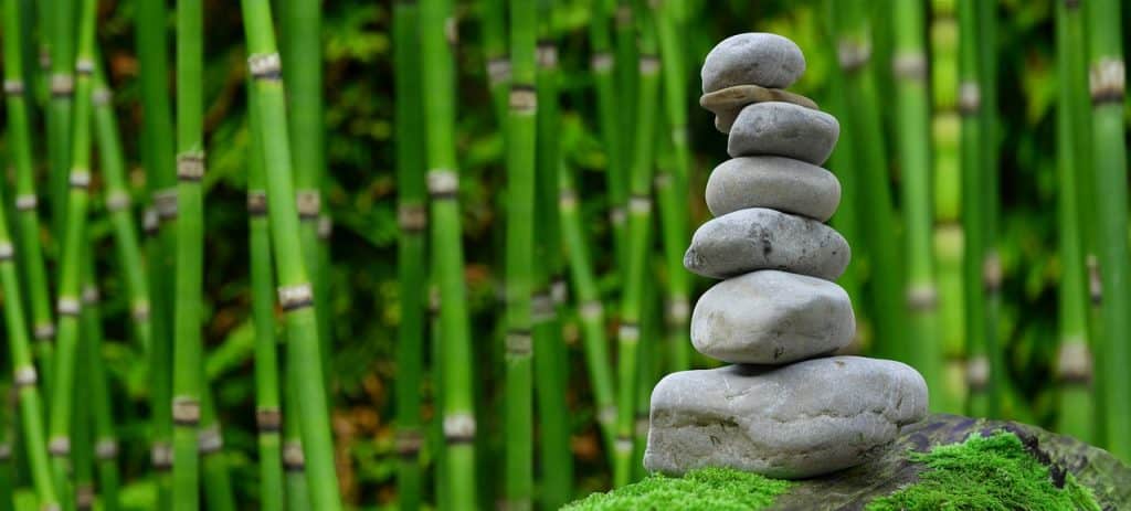 bamboo and a pile of stones