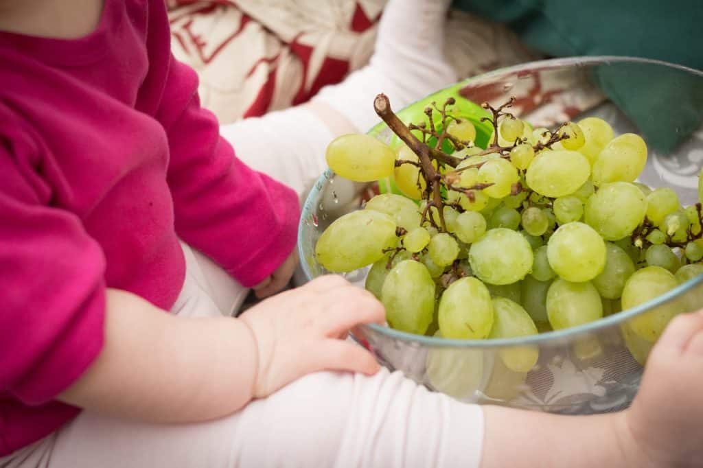 a 1 yr old with bowl of green grapes