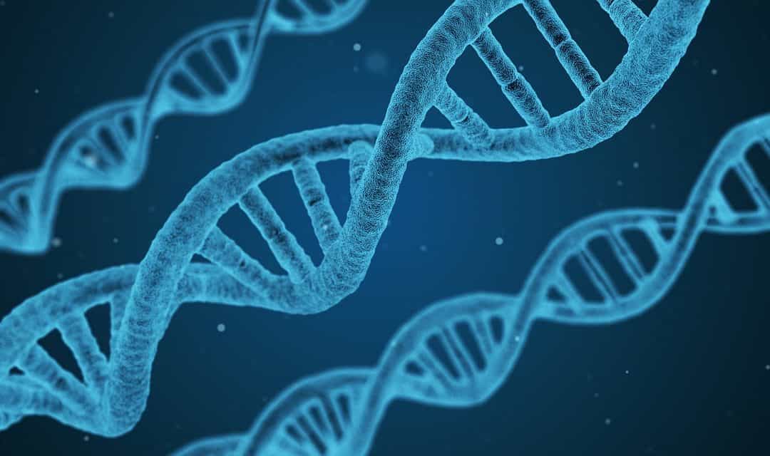 Your Guide to the MTHFR Gene Mutation