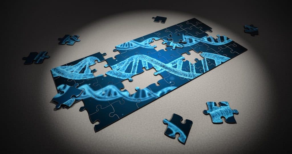 a puzzle showing dna strands