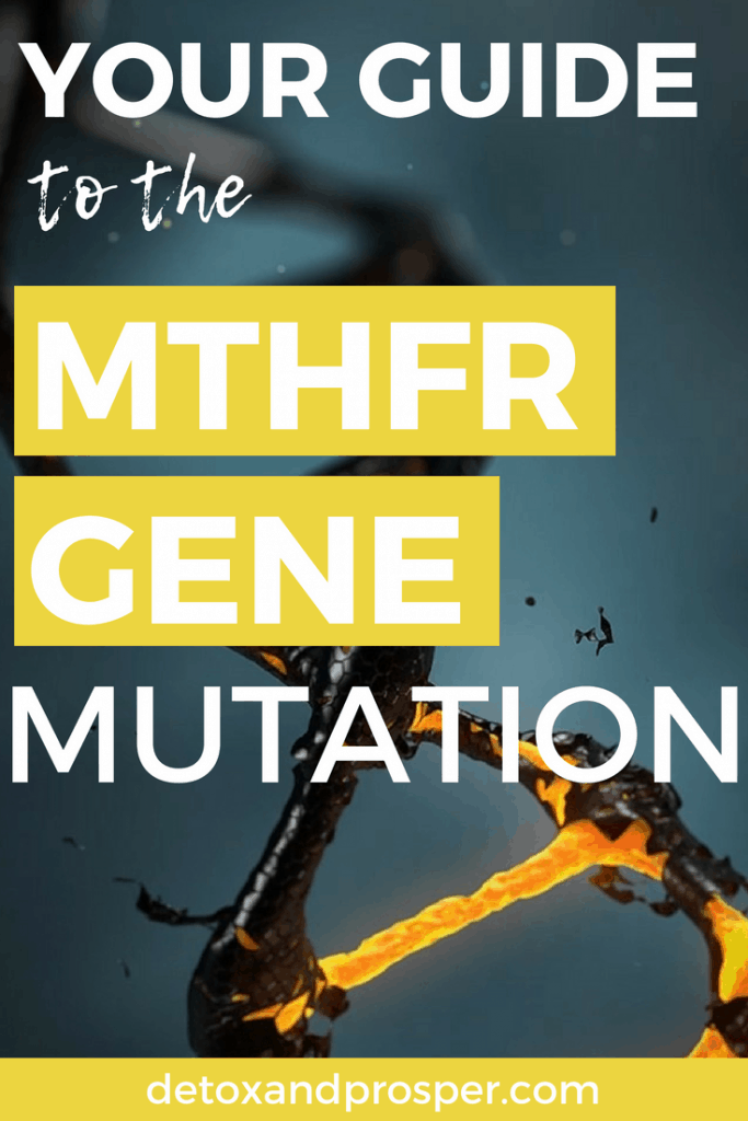 guide to mthfr gene mutation