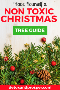 Best Non Toxic Christmas Tree Guide (2020 Latest)