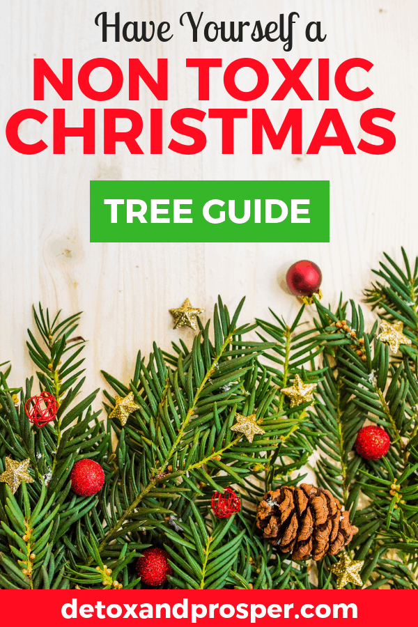 how to find a non toxic christmas tree this year