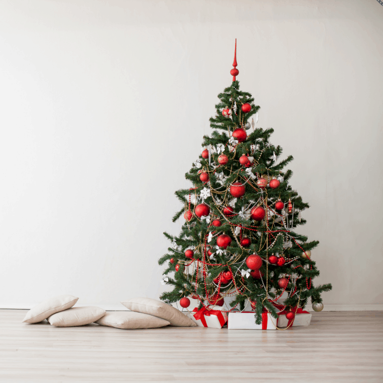 Best Non Toxic Christmas Tree Guide (2020 Latest)