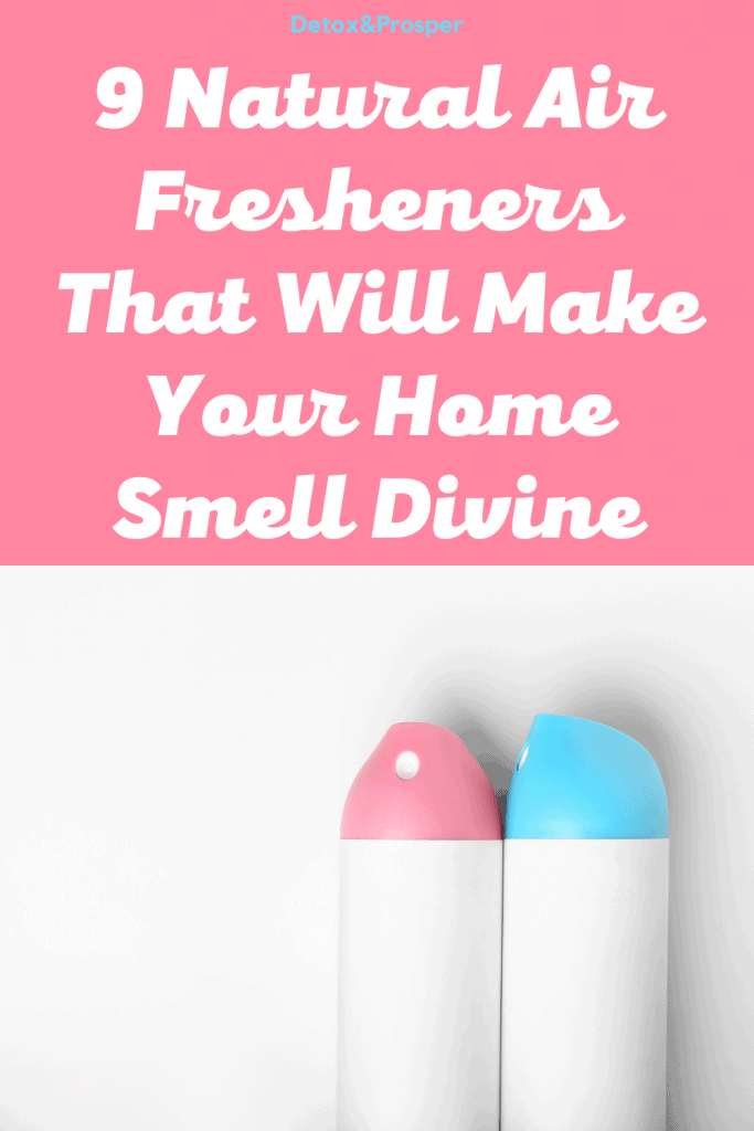 9 Natural Air Fresheners that will make your home smell divine